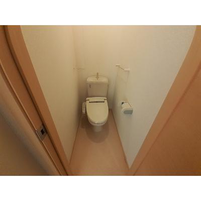 カーサステッラ 101【管理NO：1-016783801-01010】の物件写真5