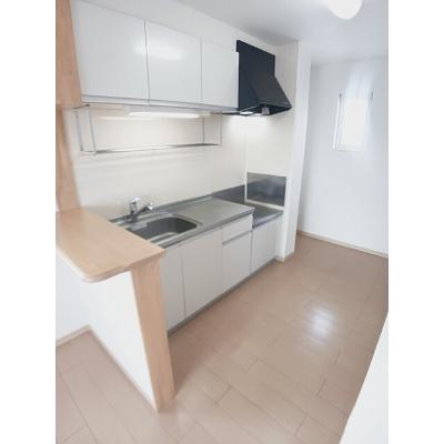 スワン 202【管理NO：1-016344901-02020】 ★家具家電は申し込み後に搬入しますの物件写真3