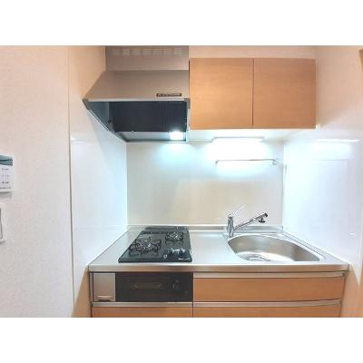 ヴィラ柏木Ⅱ 201【管理NO：1-025465402-02010】の物件写真3