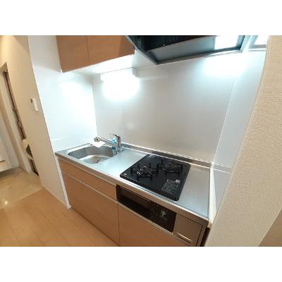 カントリーロード 203【管理NO：1-021903001-02030】 ★家具家電は申し込み後に搬入しますの物件写真3