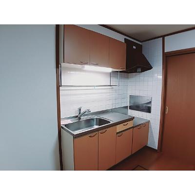 Ｌｏｇｅｍｅｎｔ　Ｓ　Ⅱ 102【管理NO：1-011272102-01020】 ★家具家電は申し込み後に搬入しますの物件写真3