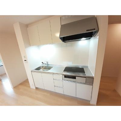 リヴェールⅢ 205【管理NO：1-027553601-02050】 ★家具家電は申し込み後に搬入しますの物件写真3