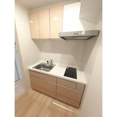 メゾンパークＢ 104【管理NO：1-027356802-01040】 ★家具家電は申し込み後に搬入しますの物件写真3