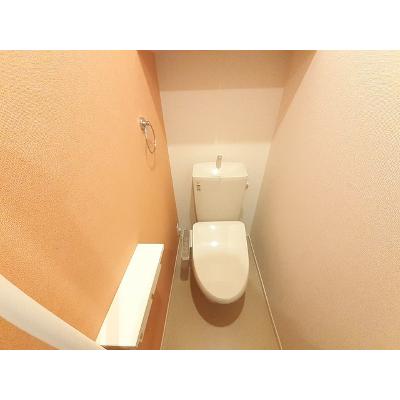 フラワーエンジェルⅡ 201【管理NO：1-024659802-02010】 ★家具家電は申し込み後に搬入しますの物件写真5