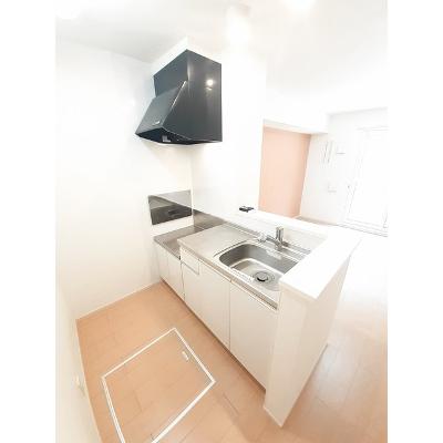 Ｐｉｎｅ　Ｂｒｅｅｚｅ壱番館 102【管理NO：1-018920701-01020】 ★家具家電は申し込み後に搬入しますの物件写真3