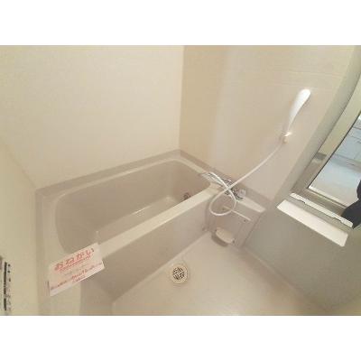 グレース・ガーデンⅡ 102【管理NO：1-013046302-01020】 ★家具家電は申し込み後に搬入します★の物件写真4