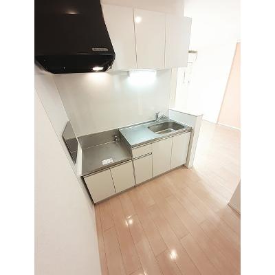 ブリーズＢ 204【管理NO：1-021520502-02040】 ★家具家電は申し込み後に搬入しますの物件写真3