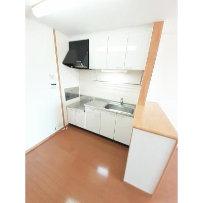エクセラン・メゾンＢ 202【管理NO：1-013580502-02020】 ★家具家電は申し込み後に搬入しますの物件写真3