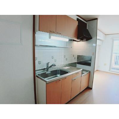 グランデュールⅠ 202【管理NO：1-011420701-02020】 ★家具家電は申し込み後に搬入しますの物件写真3