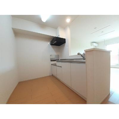 コンフォートⅣ 202【管理NO：1-020740101-02020】 2026年07月中旬入居可能の物件写真3