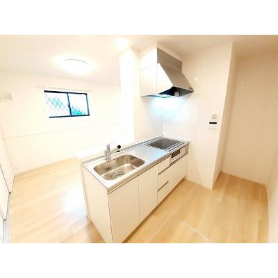 サンスベリア 105【管理NO：1-026756201-01050】 ★家具家電は申し込み後に搬入します★の物件写真3