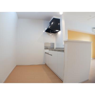 リバーサイド無限∞Ⅶ 203【管理NO：1-020372901-02030】 ★家具家電は申し込み後に搬入します★の物件写真3