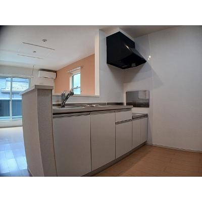 フォーリストⅠ 204【管理NO：1-020813301-02040】の物件写真3