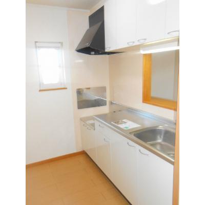 プラシードⅠ 203【管理NO：1-014859301-02030】 2026年07月上旬入居可能の物件写真3