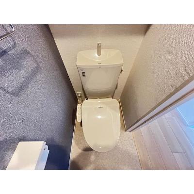 ライザガーデン 203【管理NO：1-028381601-02030】の物件写真5