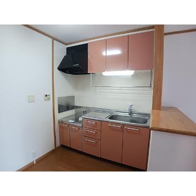 シュトラーセ羽入 202【管理NO：1-012578901-02020】 ★家具家電は申し込み後に搬入しますの物件写真3