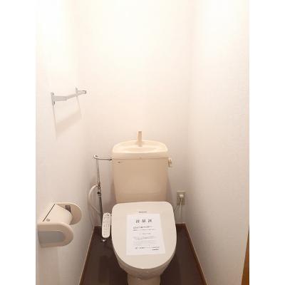 カトレア 103【管理NO：1-009388501-01030】の物件写真5