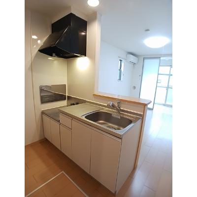 エクストラ　ステージ　Ⅱ 101【管理NO：1-015406902-01010】 ★家具家電は申し込み後に搬入しますの物件写真3
