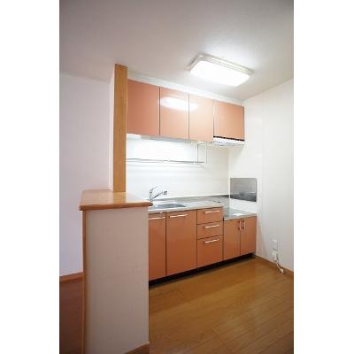 メロディハウス　メゾフォルテ 203【管理NO：1-013549701-02030】 ★家具家電は申し込み後に搬入します 2026年08月下旬入居可能の物件写真3