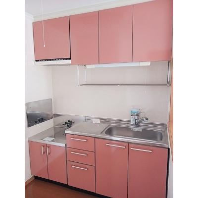 メロディハウス　メゾフォルテ 201【管理NO：1-013549701-02010】 ★家具家電は申し込み後に搬入しますの物件写真3