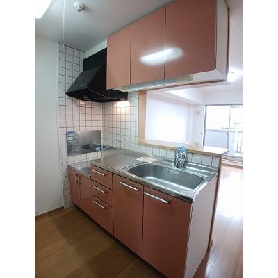 グレイスタキオン 303【管理NO：1-012741801-03030】 ★家具家電は申し込み後に搬入しますの物件写真3
