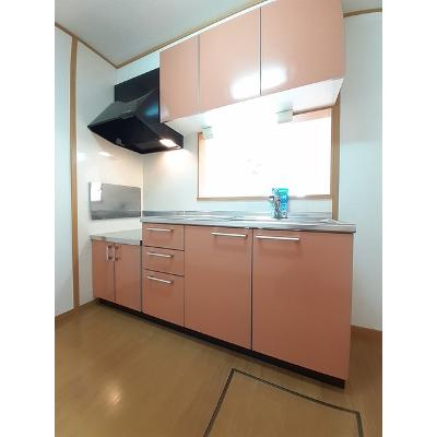 サニーパレスⅡ 102【管理NO：1-013313301-01020】 ★家具家電は申し込み後に搬入しますの物件写真3