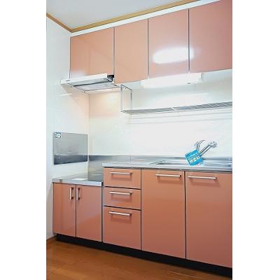 フェニックス大日向 203【管理NO：1-013283901-02030】 ★家具家電は申し込み後に搬入します★の物件写真3