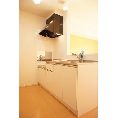 Ｒｏｏｍ３３５ 202【管理NO：1-020028301-02020】 ★家具家電は申し込み後に搬入します★の物件写真3
