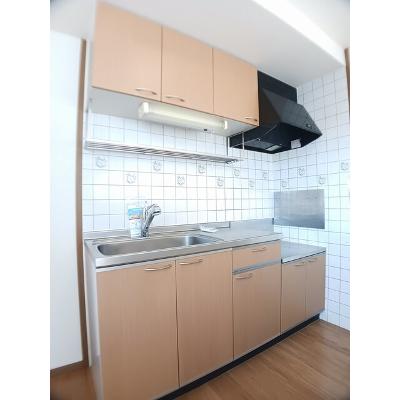 エクセレント・川田 203【管理NO：1-010974001-02030】 ★家具家電は申し込み後に搬入します★の物件写真3