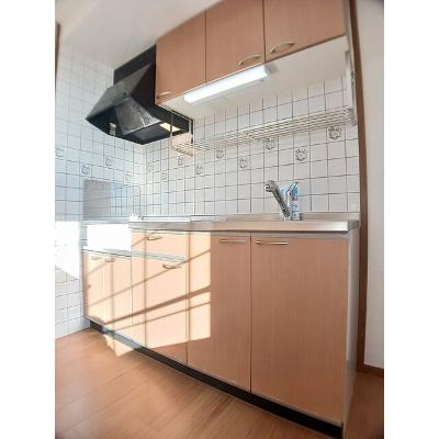 エクセレント・川田 202【管理NO：1-010974001-02020】 ★家具家電は申し込み後に搬入します★の物件写真3
