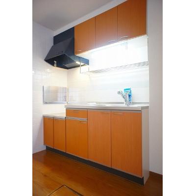 セトルメント　Ｙ 101【管理NO：1-010327001-01010】 ★家具家電は申し込み後に搬入します★の物件写真3