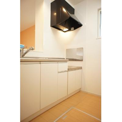 Ｒｏｏｍ３３５ 103【管理NO：1-020028301-01030】 ★家具家電は申し込み後に搬入します★の物件写真3