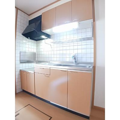 カーサ　プレシードＢ 102【管理NO：1-012245402-01020】 ★家具家電は申し込み後に搬入します★の物件写真3