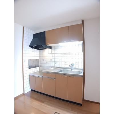 サンハウスＩＧ 102【管理NO：1-011097201-01020】 ★家具家電は申し込み後に搬入します★の物件写真3