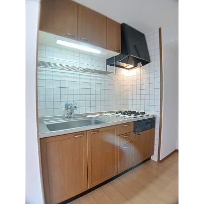 メゾンド　フォンテーヌ 203【管理NO：1-010953001-02030】 ★家具家電は申し込み後に搬入します★の物件写真3