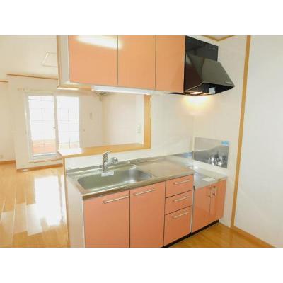 ソリアードディーチモ 201【管理NO：1-013163002-02010】 ★家具家電は申し込み後に搬入しますの物件写真3
