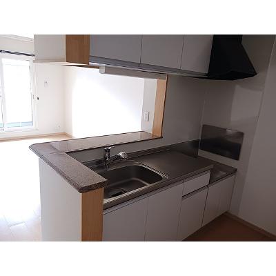 サンライトＤ 203【管理NO：1-016289201-02030】 ★家具家電は申し込み後に搬入しますの物件写真3