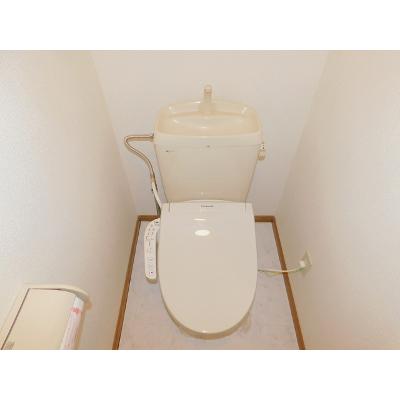 メゾンソリアード 203【管理NO：1-009455501-02030】 ★家具家電は申し込み後に搬入します 2026年07月中旬入居可能の物件写真5