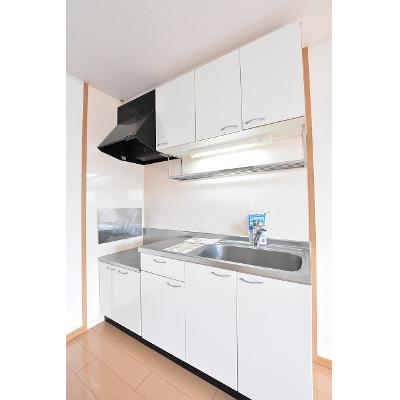 エテルノ・デーア・Ｙ，Ｋ 203【管理NO：1-014679701-02030】 ★家具家電は申し込み後に搬入します 2026年07月下旬入居可能の物件写真3