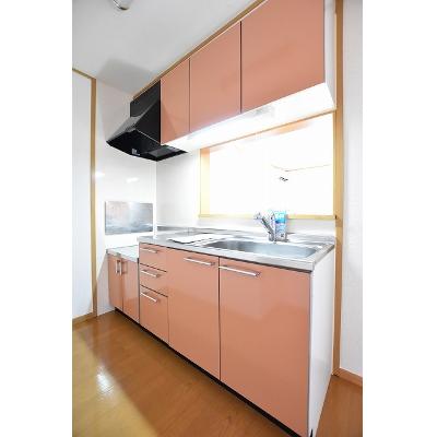 カルムＡ 202【管理NO：1-012907101-02020】 ★家具家電は申し込み後に搬入しますの物件写真3