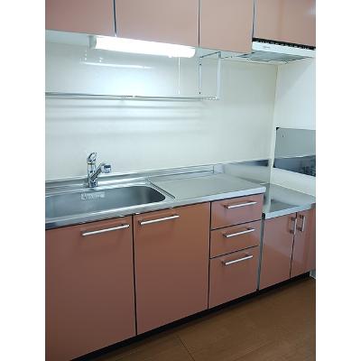 パークサイドハウスＪ・Ⅰ 203【管理NO：1-012545001-02030】 ★家具家電は申し込み後に搬入しますの物件写真3