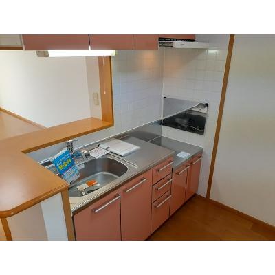 ミントハウス 102【管理NO：1-012666601-01020】 ★家具家電は申し込み後に搬入しますの物件写真3