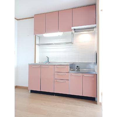 サンクレストⅡ 203【管理NO：1-012404501-02030】 ★家具家電は申し込み後に搬入しますの物件写真3