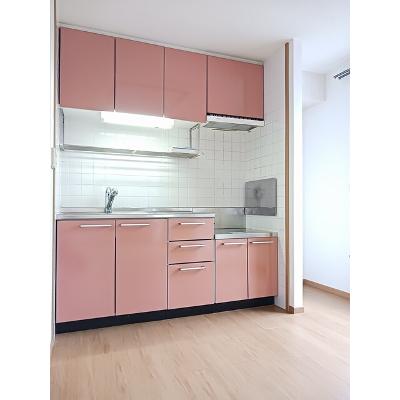 エテルネルＡ 201【管理NO：1-012403601-02010】 ★家具家電は申し込み後に搬入します★の物件写真3