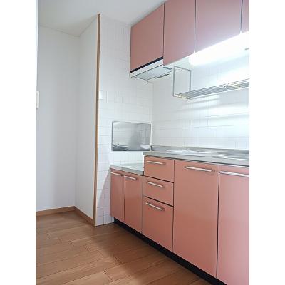 ファインロイテ 303【管理NO：1-012156601-03030】 ★家具家電は申し込み後に搬入します★の物件写真3