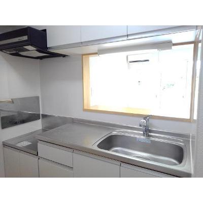 スカイツリーⅡ 102【管理NO：1-017825601-01020】 ★家具家電は申し込み後に搬入しますの物件写真3