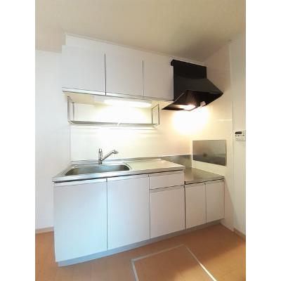 ＧＲＡＣＥ　ＧＡＲＤＥＮ　Ｂ 103【管理NO：1-015991102-01030】 ★家具家電は申し込み後に搬入しますの物件写真3