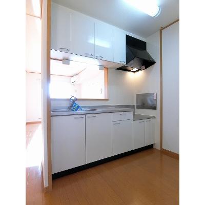 レジェンドアーク　Ⅰ 201【管理NO：1-013723701-02010】 ★家具家電は申し込み後に搬入しますの物件写真3