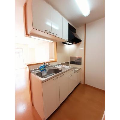 カーサ　プラシードⅡ 102【管理NO：1-014602302-01020】 ★家具家電は申し込み後に搬入しますの物件写真3
