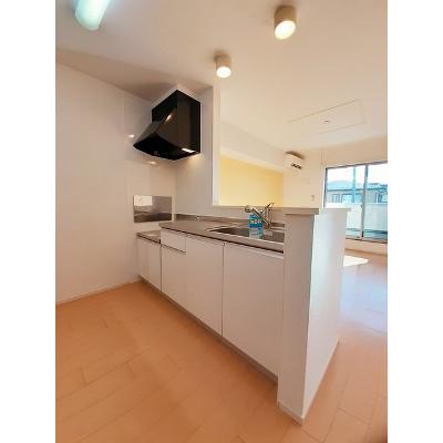 アヴェニール 202【管理NO：1-018751601-02020】 ★家具家電は申し込み後に搬入します 2026年07月下旬入居可能の物件写真3